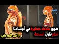 Download Lagu ظهور علامة خطيرة في أجسادنا تنذر بقرب الساعة