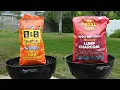 Charcoal Face-Off Lump VS Briquetes