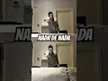 Download Lagu NADA DE NADA - Which one was better? #phonk #glitch #glitchdance #lego #legospin #dancechallenge