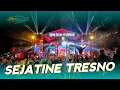 Download Lagu DJ SEJATINE TRESNO - BASS HOREG AMPUH - VIRAL TIK TOK 2024 - DIVA KARTIKA MUSIC