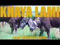 Inkabi Zezwe - Khaya Lami (Official Lyric Video)