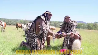 inkabi zezwe khaya lami official lyric video