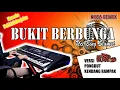 Download Lagu Bukit Berbunga - Uci Bing Slamet | KARAOKE VERSI PONGDUT KENDANG RAMPAK | NADA CEWEK |ALINSTA STUDIO