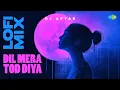 Download Lagu Dil Mera Tod Diya - LoFi Mix | Dj Aftab | Kasoor | Alka Yagnik | Nadeem-Shravan