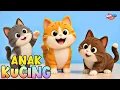 Lagu LAGU ANAK 🇮🇩 ANAK KUCING MEONG MEONG - KITTEN SONG - LAGU ANAK BALITA VIRAL