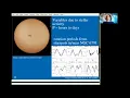 Lightcurves of Variable Stars - GROWTH Astronomy School 2020