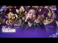 Download Lagu SHAFA (Lubuk Linggau) - Tirani | DMD PANGGUNG REZEKI