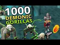 Loot From 1 000 Demonic Gorillas Ft Scorching Bow Emberlight
