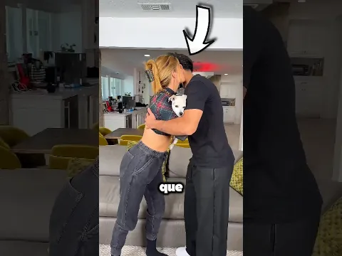 Sus Problemas Con El Pelo Del Perro Fueron Demasiado Lejos 🐶😱