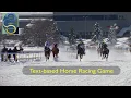 Python for Kids - Mathew s Horse Racing Game