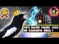 GAK ADA LAWAN Suara Kacer Gacor Juara 1 Untuk Masteran Kicaumania #KacerGacor #MasteranBurung