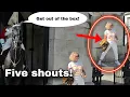 Download Lagu BRAVO GUARD!👏 Rude and Disrespectful tourists get shouted five times!