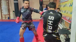 DONI VS SHAMIL K BAES