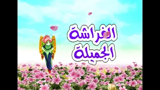 عالم الحشرات الفراشة الجميلة 