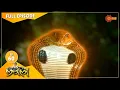 Download Lagu Nandini - Episode 60 | Digital Re-release | Surya TV Serial | Super Hit Malayalam Serial