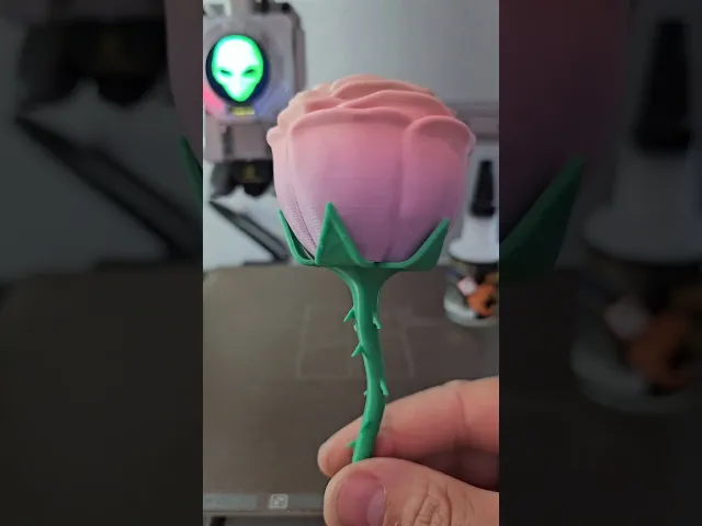 Rose Multiparts with Holder / No Supports video thumbnail