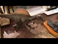 Spotlight on Dinosaur Teeth