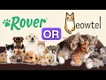 Rover vs Meowtel Which Pet Sitting App Is Better for a Side Hustle