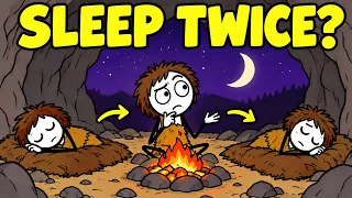 What Did Ancient Humans Actually Do at Night?