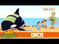 Leo Needs To Keep The Orca Alive! | Leo the Wildlife Ranger | Cartoons For Kids | @Mediacorp okto