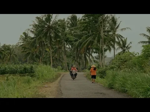 Trailer BHÂKO (The Golden Leaf)