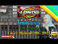 Download Lagu Taman Jurug - Dewi Ayunda - Tanpa Kendang - Cover Manual ORG 2024