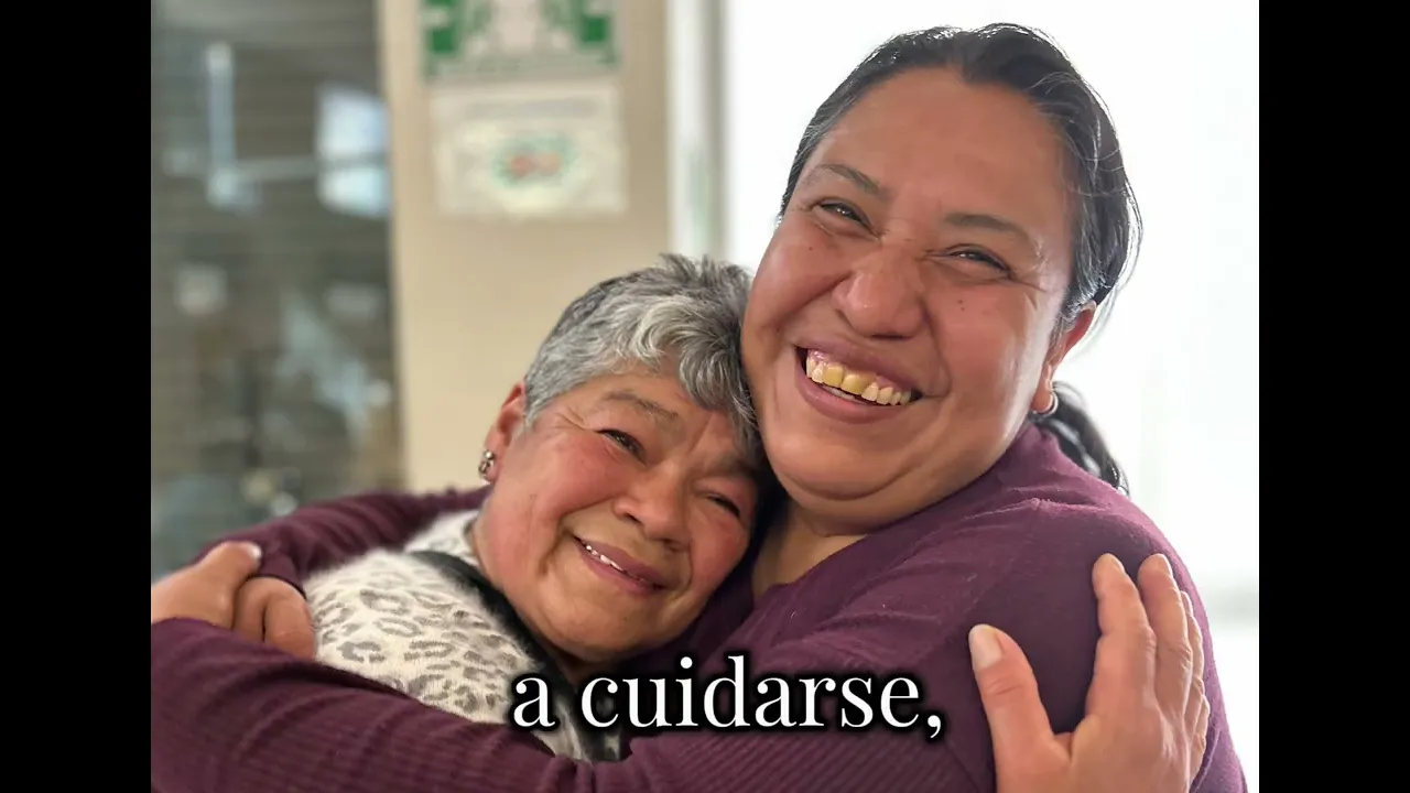 Voluntariado