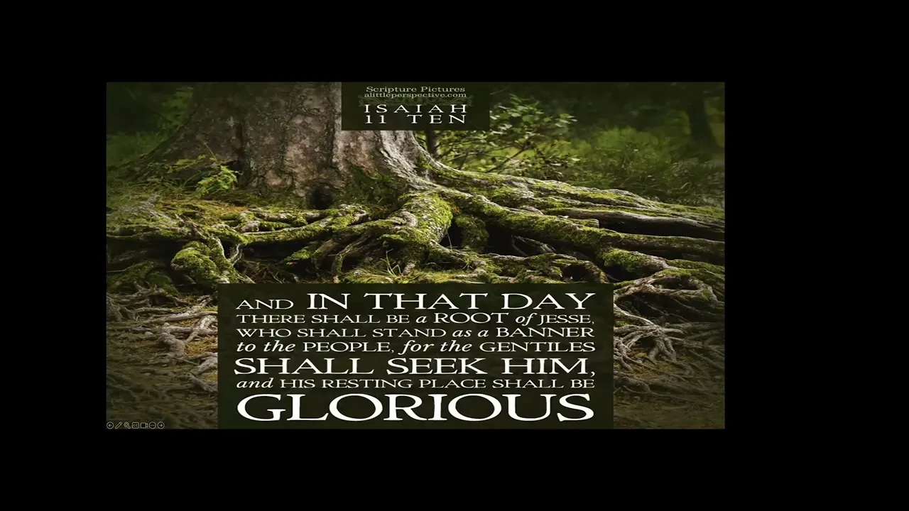Isaiah Revelation of Christ by ReggieLee