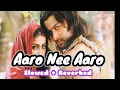 Download Lagu Aaro Nee Aaro (Slowed + Reverbed)