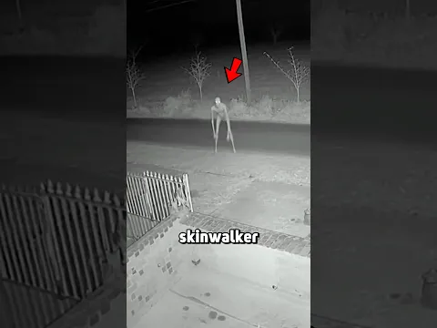 CCTV Footage of a Skinwalker vs Dog Outside the House