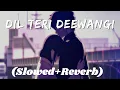 Download Lagu Dil Teri Deewangi Me Kho Gaya Hai | Slowed \u0026 Reverb (Heera Jhankar) Anand Raj Anand, #slowedreverb