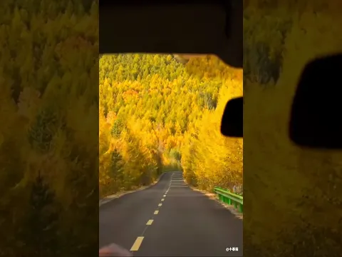 Herbst-Liebe auf den ersten Blick: Die Xing'an-Berge in Gold und Rot! 🍁