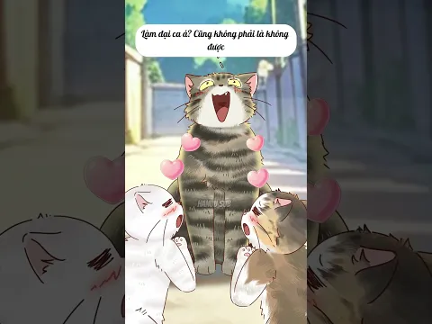 Bé mèo tam thể đực mà!