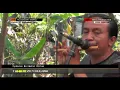 Download Lagu KEHILANGAN TONGKAT VOC  RISKA RENATA  DMD
