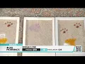 CBS Morning Deals - Campanelli