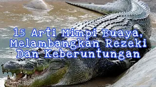 15 meanings of crocodile dreams symbolize fortune and luck