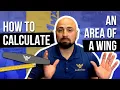 Wing area IS IT REALLY IMPORTANT A P Code 1 Maintenance