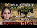 Download Lagu KUMPULAN PONGDUT SUNDA BAJIDOR TERPOPULER||DAUN HIRIS,NIKMAT DURIAT,AWET RAJET DIGIBRIGKEUN LUR