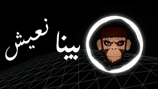 Amir Muneeb Beena Naeesh BASS BOOST I عامر منيب بينا نعيش عالية الجودة 