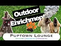 Outdoor Enrichment Puptown Lounge Dog Daycare Boarding Grooming in Columbus OH