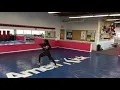AmeriKick 6