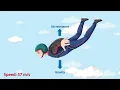 Terminal Velocity