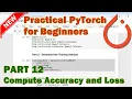 PyTorch Beginner Tutorial - Part 12 Compute the Accuracy and Loss