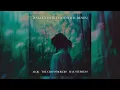 Alok, The Chainsmokers & Mae Stephens - Jungle (Contraband Festival Remix)