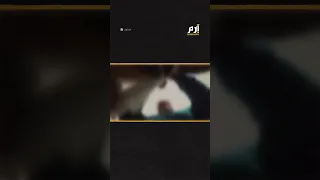 فيديو مدير مدرسة يتحرش بطالبة في المغرب يثير غضب الأهالي 