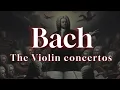 Download Lagu Sebastian Bach - The Violin Concertos