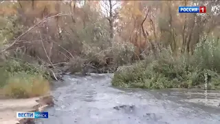 В Омске обнаружен новый приток Иртыша, довольно сомнительного происхождения