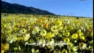 لله الاسماء الحسنى والذات الاقدس والأسمى 