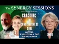 Cracking the Consciousness Code:  Autism, Evolution & the Divine Human – Richard Rudd & Suzy Miller