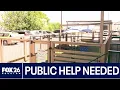 Houston Pets Alive in need of new play yard